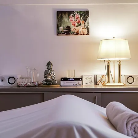 立布利萨酒店 4* Byšice