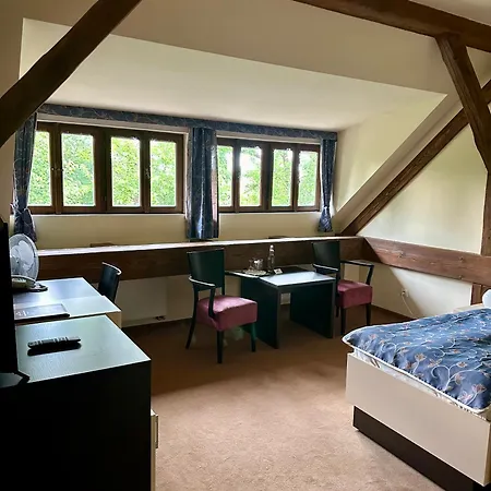 فندق Chateau Liblice 4*