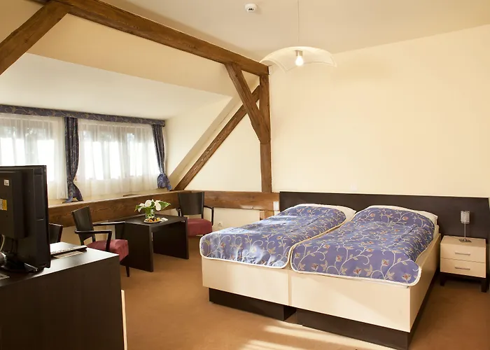 立布利萨酒店 4* Byšice
